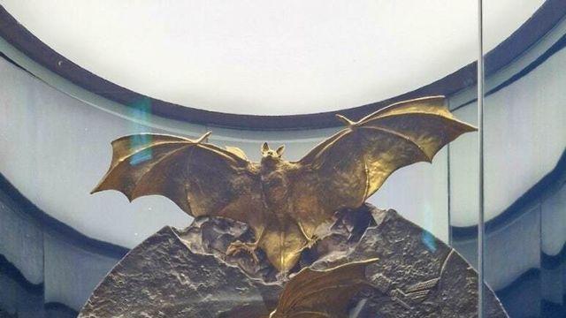 세금 낭비라고 욕쳐먹었던 함평 황금박쥐상 가격 근황