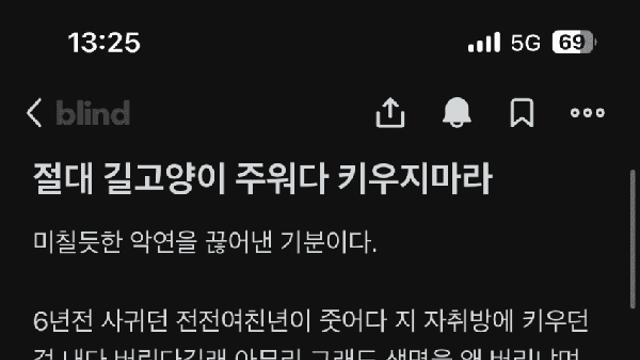 길고양이 주워다 키우고싶을때 읽으면 좋은 글