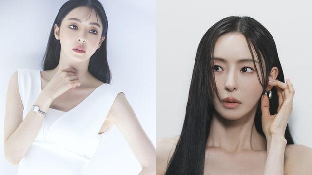 이다희, K베이커리 서바이벌 ‘천하제빵’ MC 발탁