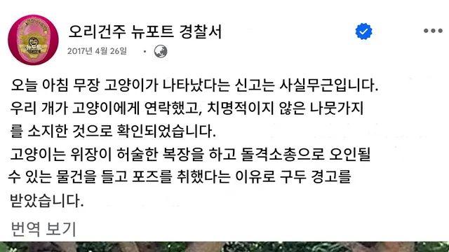 “나무 위에 소총 든 고양이가 있어요” 신고