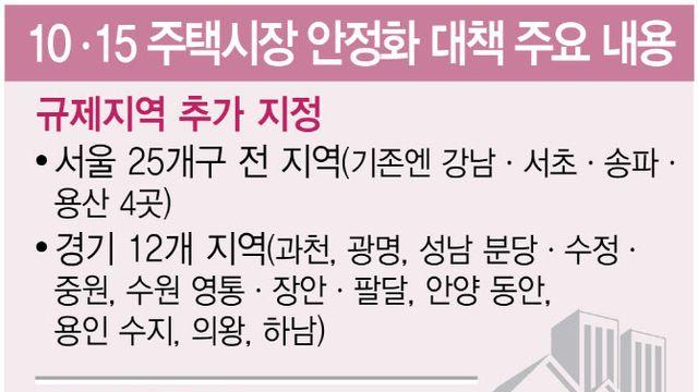강남3구처럼 노도강까지 봉쇄…'보유세 강화'도 예고