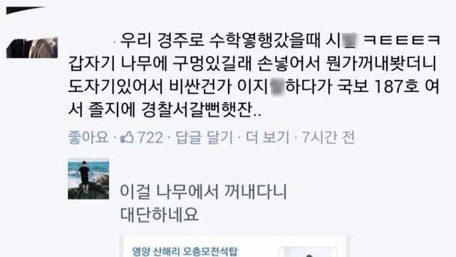 경주에서 나무 구멍에 손 넣었다 국보 꺼낸 사람 