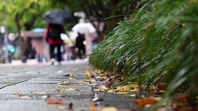 대구·경북 흐리고 비…낮 기온 21∼23도