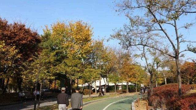 올 가을  여의도, 한강공원과 더현대서울에서 즐기는 맛깔난 하루