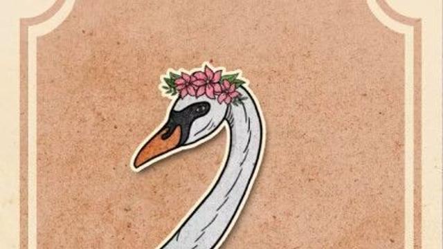 백조에 대한 잘못된 상식jpg