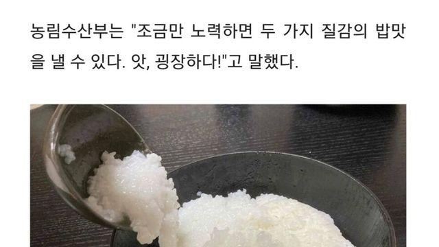 흰죽 덮밥 보고 생각난건데