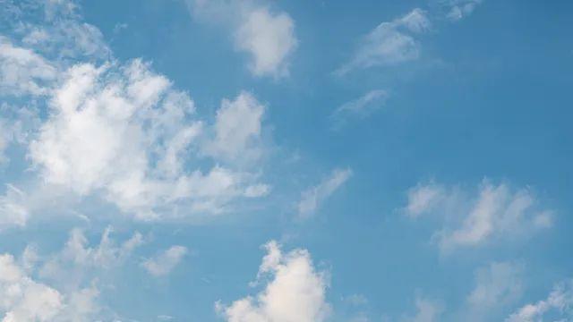 핸드헬드로 찍은 지난 불꽃축제