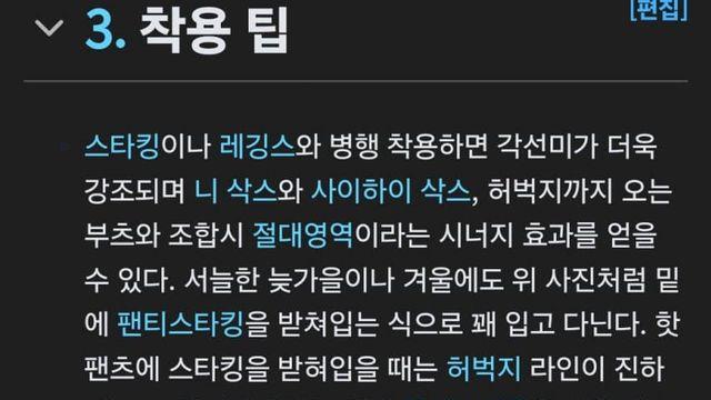 한국에서 유행시킨 패션이라고 하지만 사실은 일본이 유행시킨 패션