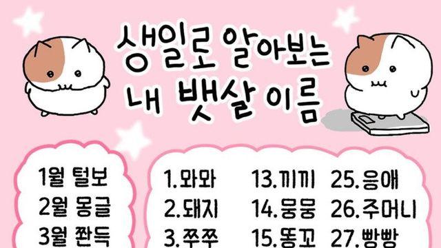 생일로 알아보는 내 뱃살 이름