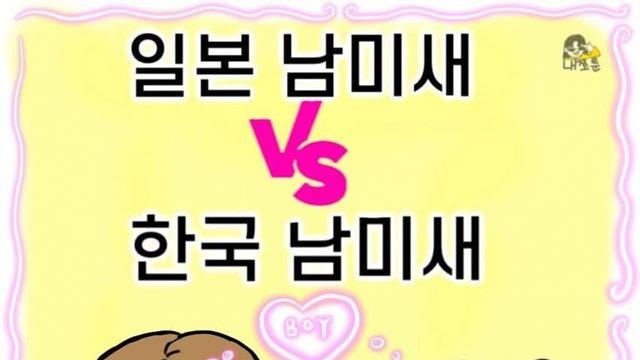 한국 남미새 패션 VS 일본 남미새 패션