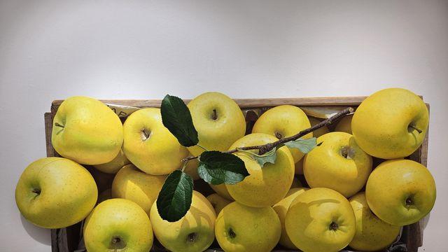 맛도 있고 눈도 즐거운…'행복한 사과' 그리는 윤병락 개인전
