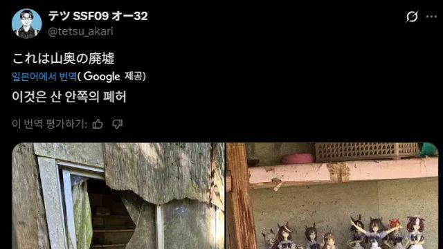 산속 폐허에서 발견된 물건