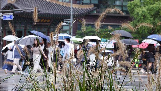 전북 흐리고 밤부터 약한 비…낮 최고 26도
