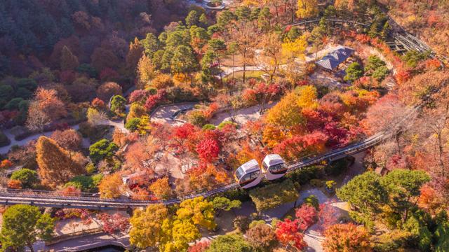 화담숲, 24일부터 '2025년 가을 단풍 축제'