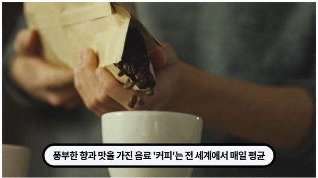 악마의 음료라던 커피가 유럽에서 살아남은 이유