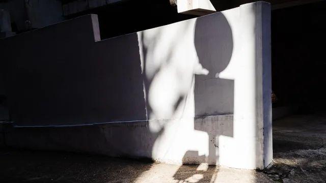 햇빛 줍기 (20장)