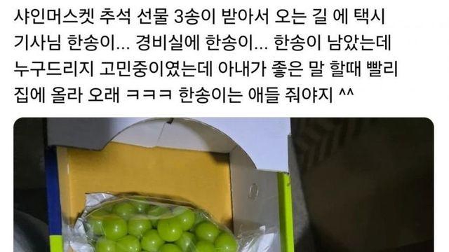 인정욕구 강한 사람 특징