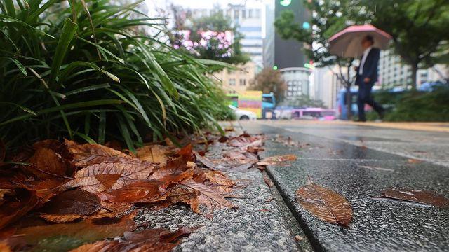 대전·세종·충남 밤부터 다시 비…낮 최고 23∼25도