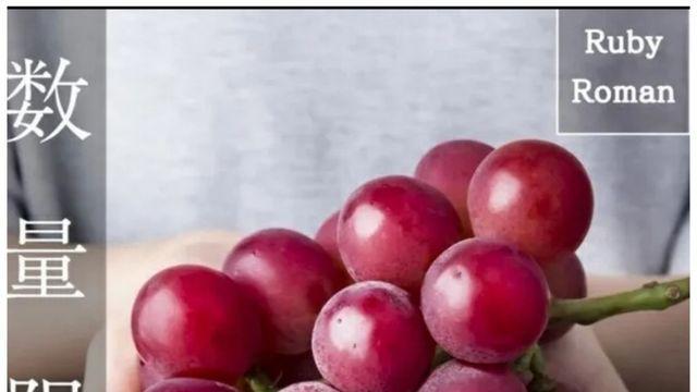 제2의 샤인머스켓 사태