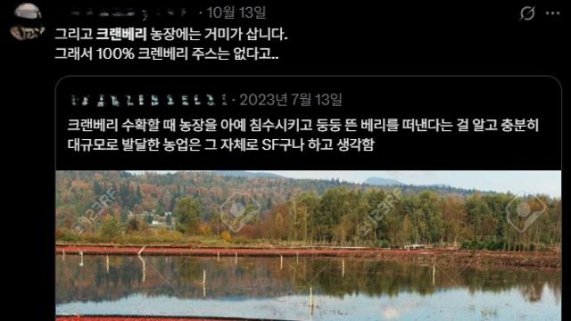 100% 크랜베리 주스는 없다는 이유