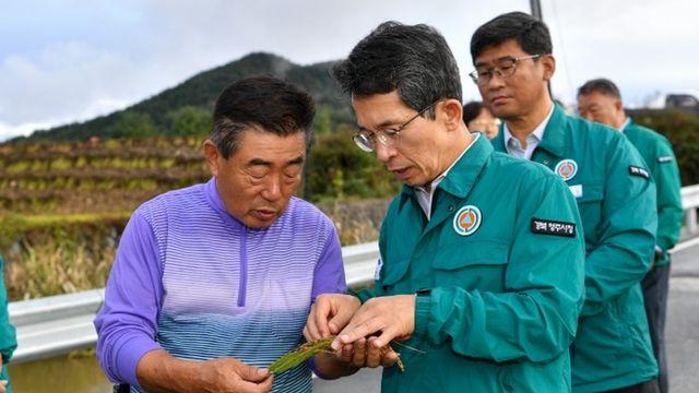 영주시 가을장마로 인한 농업재해 현장 확인에 나서