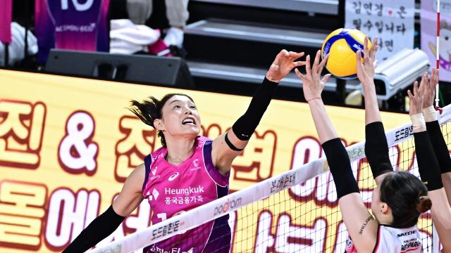 '챔프전 혈투' 흥국생명-정관장 리턴매치 관심…김연경 은퇴식