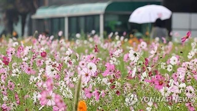충북 흐리고 밤부터 비…낮 최고 21∼25도