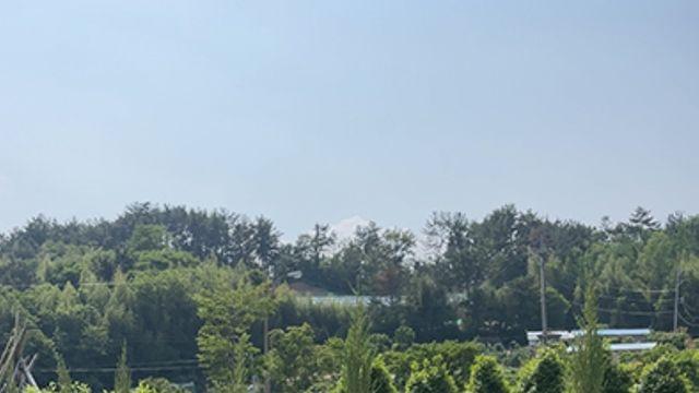 도심 속 정원카페 ‘소오소오’, 울산시 제9호 민간정원 등록