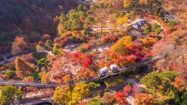 단풍 절경 감상하러 떠나자… 화담숲, 24일부터 2025년 가을 단풍 축제