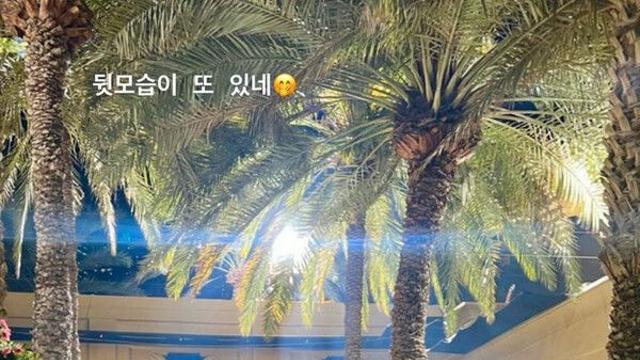 송혜교 두바이서 미모 자랑 