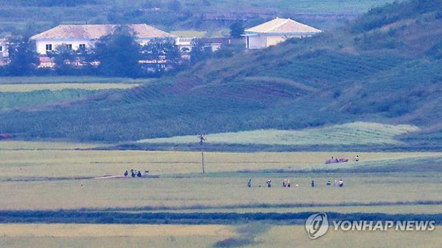 [이지 사이언스] 우주서 본 한반도 가뭄…북한 농업 타격 더 컸다