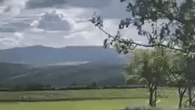 자연방목 닭 보호망