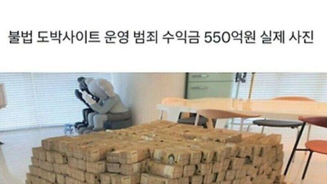 눈호강시켜드립니다