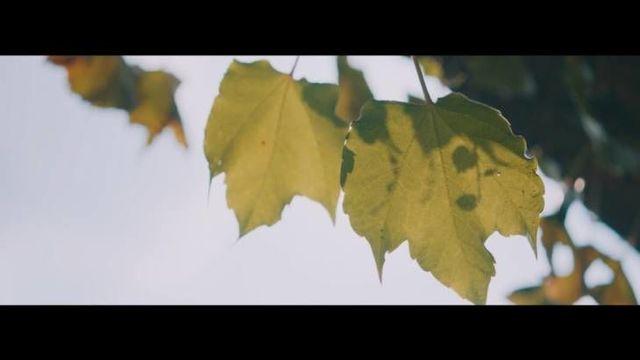 김용준, '숨' MV 티저 공개…'감성 무드'로 신곡 예열