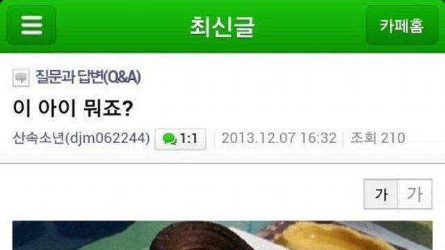 애완용 뱀 구매했는데 독사 받은 사건 ㄷㄷ 