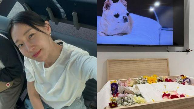 이지혜, 안타까운 비보…가족 떠나보냈다 [RE:스타]