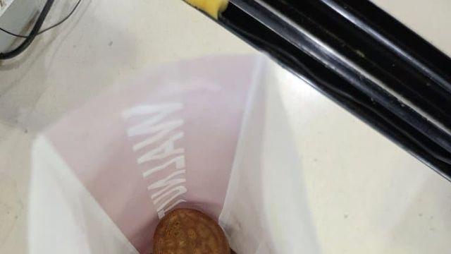 급히 꾸려본 진도여행 파티