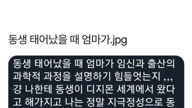 동생이 태어났을 때 엄마가.jpg,,
