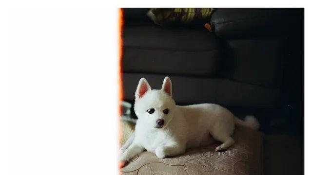 이것 저것 잡다한 컷들