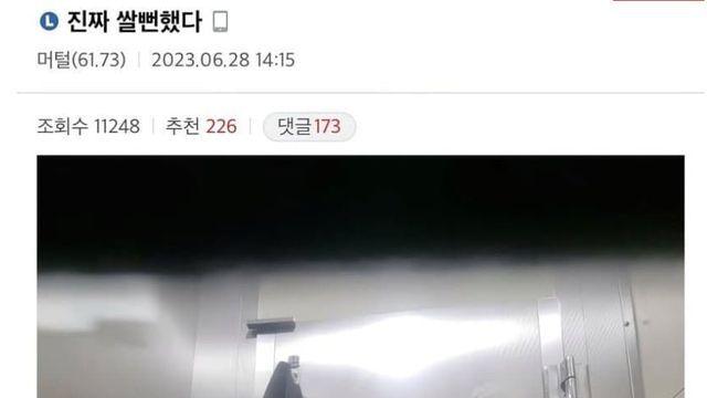 주인의 배변 활동에 고통 받는 강아지