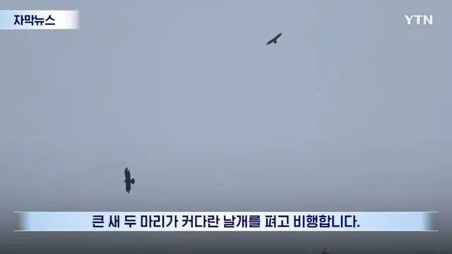 77년만에 확인된 멸종위기종에 환호성 질렀다