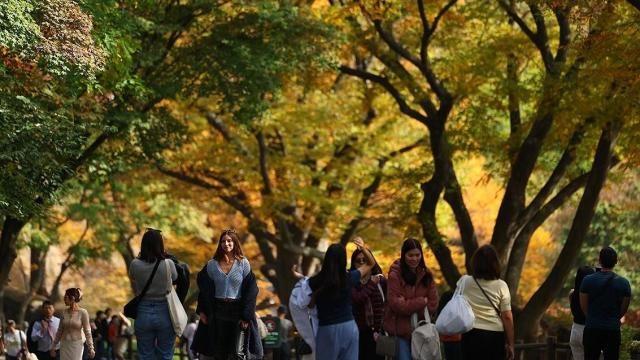 [내일날씨] 전국 흐리다 오후 맑아져…찬바람에 밤 기온 '뚝'