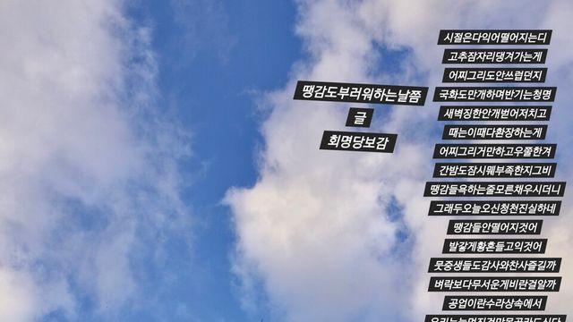 [보감과의 동행149]    땡감도부러워하는날쯤