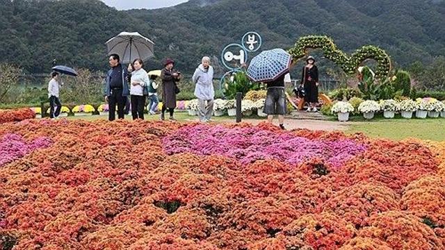 전북 아침 기온 뚝…낮 20∼21도