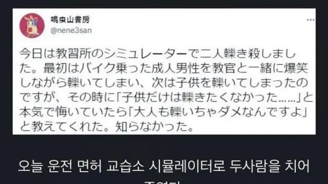 아이만큼은 치고싶지 않았다는 운전자,,