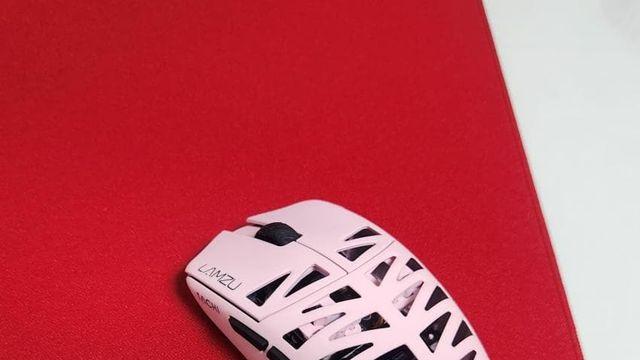 람주 타치 사설 도색 맡긴 거 왔음