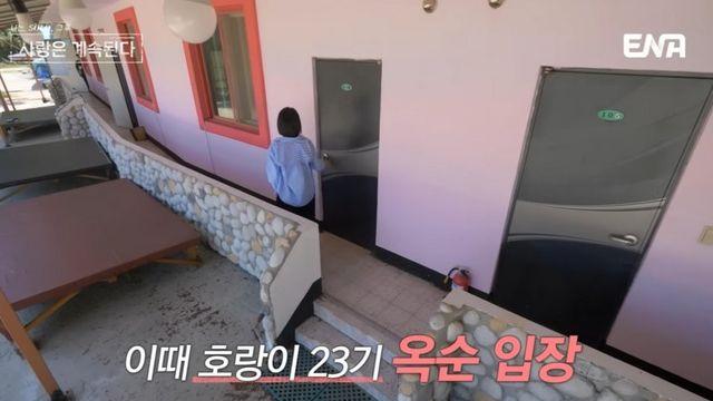 왕따잡는 호랑이23옥