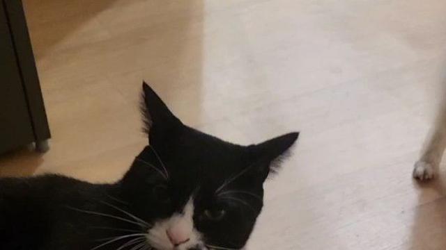 이정도면 연기대상각 ????