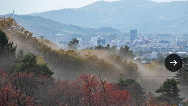 대기중 절반이 벌레라는 홋카이도 근황 