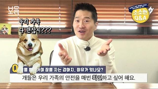 반려견이 방을 옮겨가며 자는 이유 